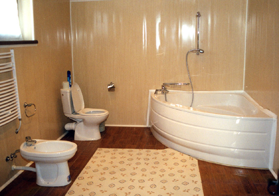 Интерьер на фото ванной комнаты из пластиковых панелей: дизайн из панелей ПВХ